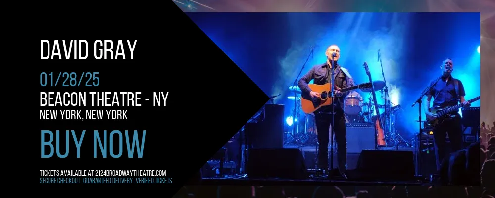 David Gray at Beacon Theatre - NY